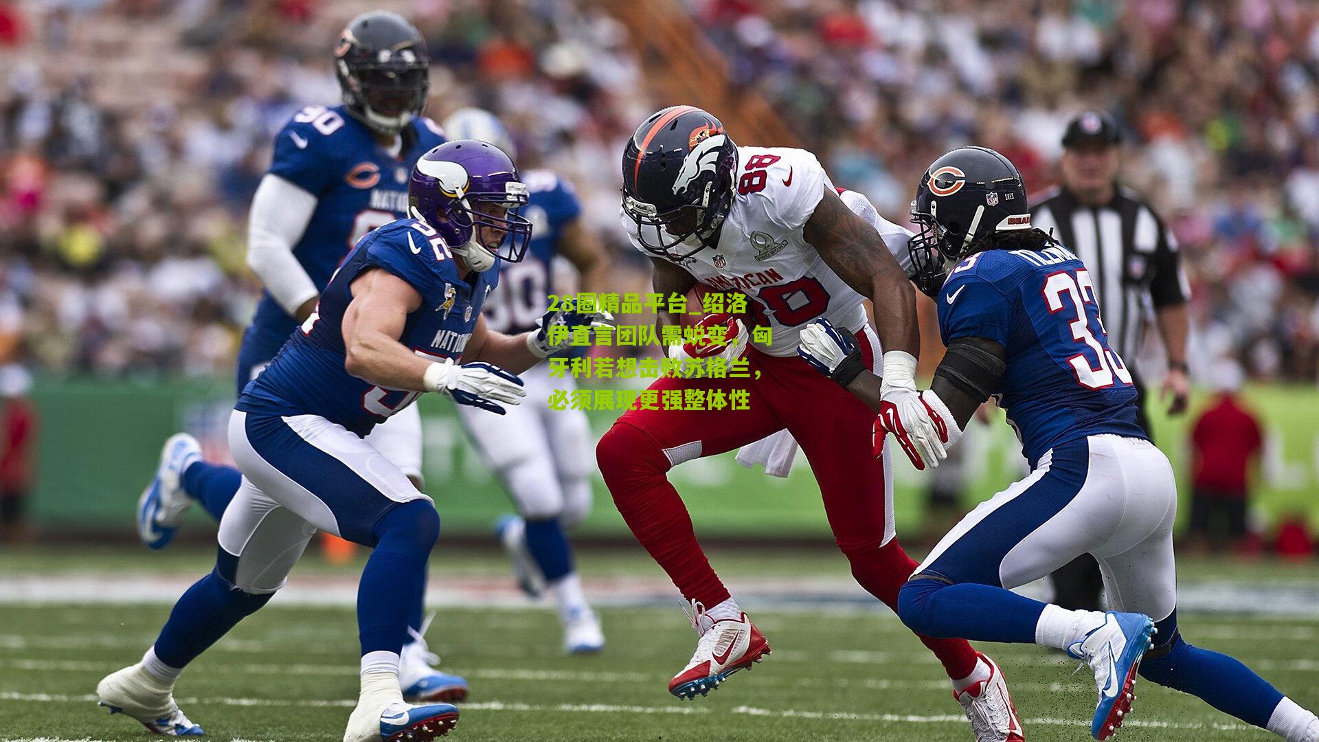 绍洛伊直言团队需蜕变,匈牙利若想击败苏格兰,必须展现更强整体性