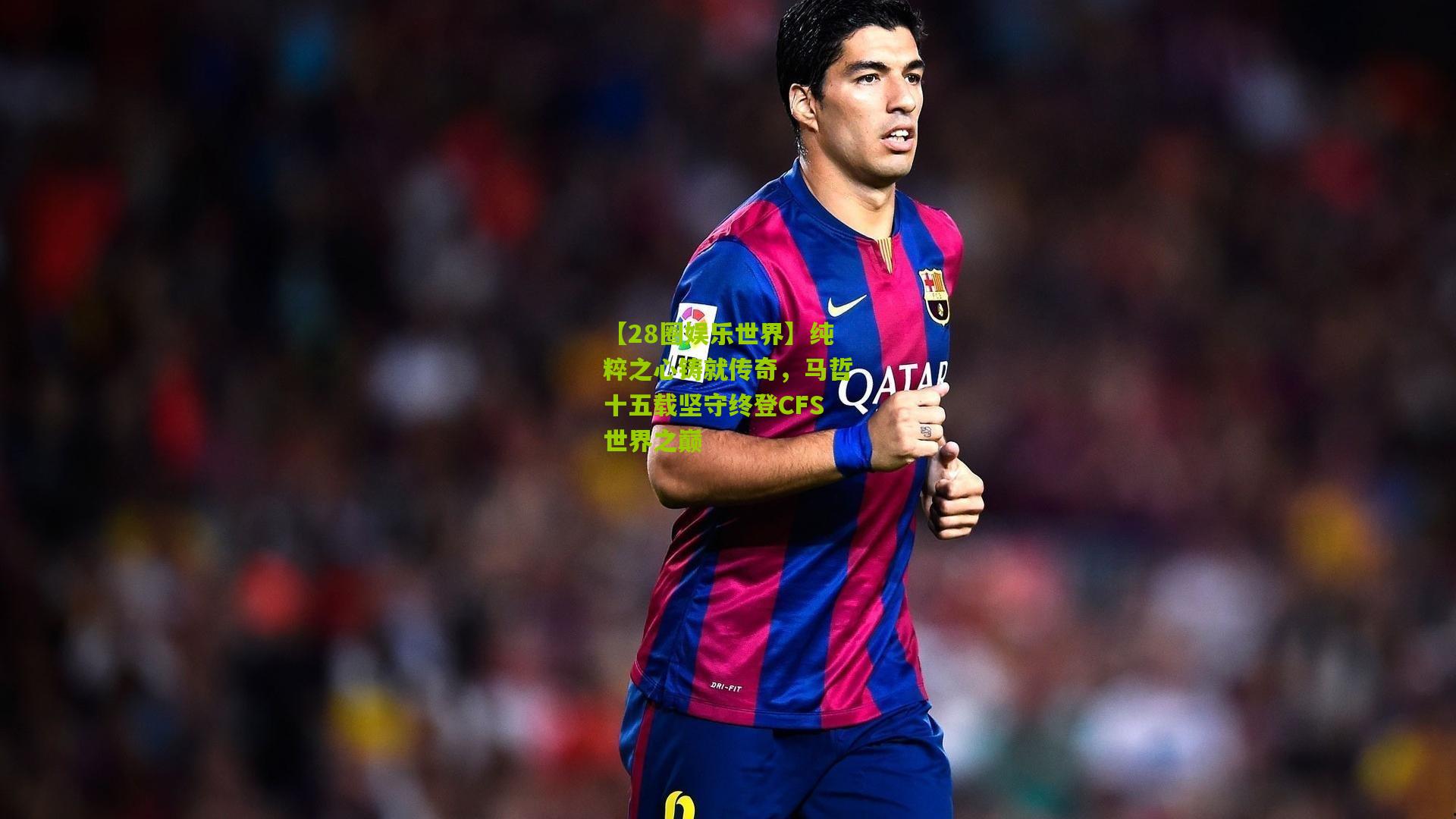 纯粹之心铸就传奇，马哲十五载坚守终登CFS世界之巅